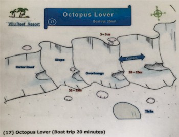 Octopus Lover